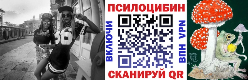 где купить наркотик Минусинск кракен как войти Псилоцибиновые грибы Magic Shrooms